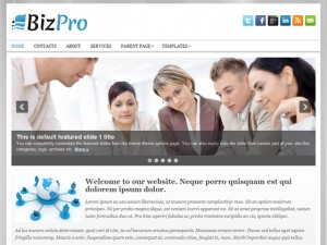 Biznes i portfolio - motyw Bizpro